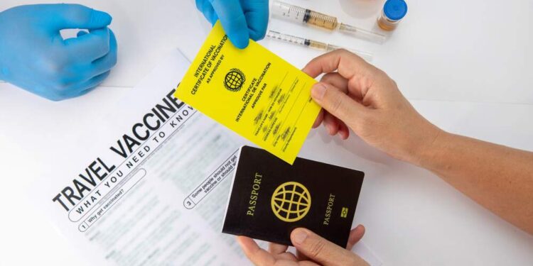 How to Know Which Travel Vaccines You Need